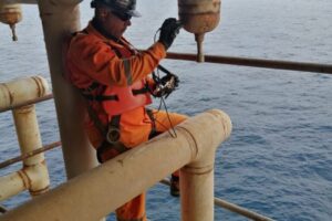 Ultrasonido en plataforma